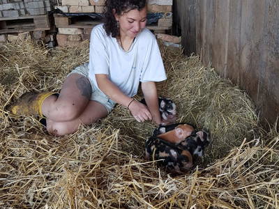 Bild 28 aus  Meissnitzerhof