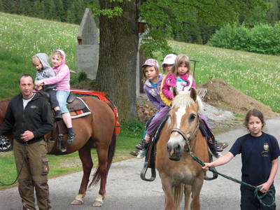 Bild 52 aus  Michlbauer