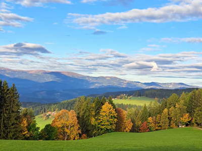 Bild 3 aus  Langhanshütte