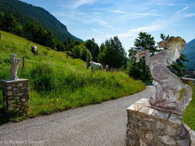 Bild 8 aus  Haus am Kolm