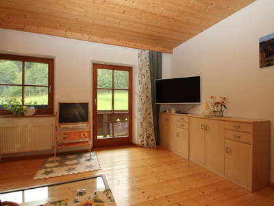 Bild 44 aus  Hinterschwarzenberg