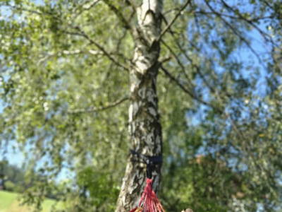 Bild 85 aus  Biberhof im Mühlviertel