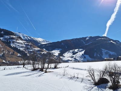 Bild 13 aus  Voithof