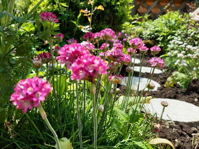 Bild 7 aus  Landhaus Alt mit Bauernhof