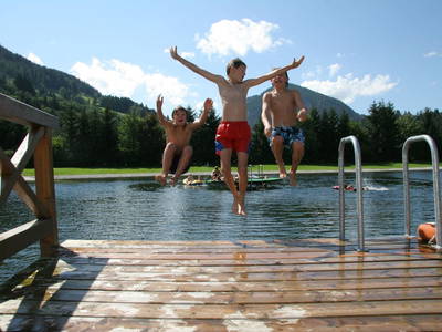 Bild 26 aus  Bruckreiterhof