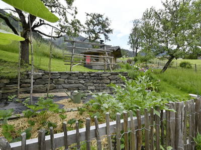 Bild 95 aus  Biohof Mathies