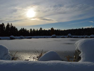 Bild 78 aus  Pircherhof - Adults Only am Biobauernhof