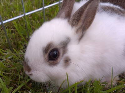 Bild 22 aus  Oberhaslachhof