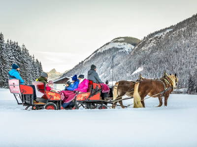 Bild 101 aus  Wechslerhof