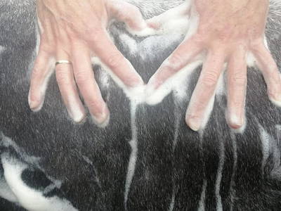 Bild 102 aus  Tobadillerhof Kinderbauernhof Pitztal Tirol