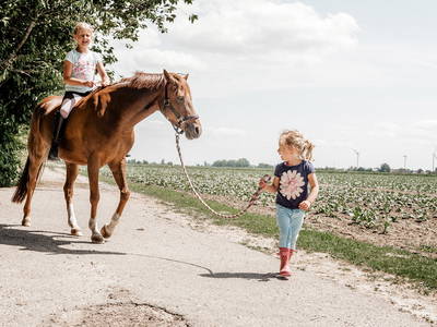 Bild 10 aus  Ferienhof Claußen