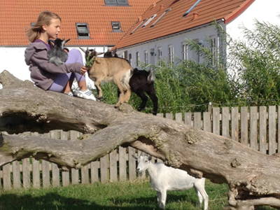 Bild 8 aus  Klitgaarden