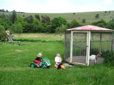 Bild 10 aus  Ferienhof Pfisterer