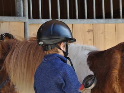 Bild 27 aus  Donauerhof