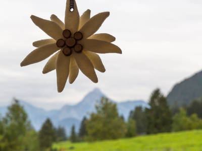 Bild 12 aus  Am Holderbusch