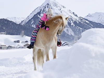 Bild 58 aus  Haus Bergquell mit Pferdestall