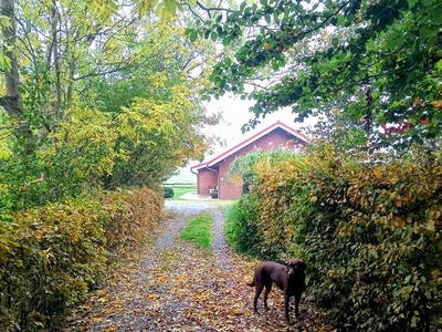 Bild 18 aus  Ferienhof Hasseler