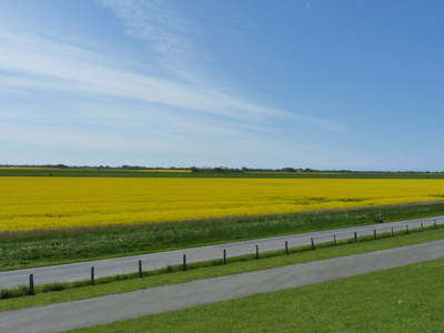 Bild 14 aus  Harder Urlaubsdomizile