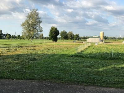 Bild 3 aus  Stellplatz auf dem Birkenhof