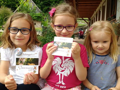 Bild 6 aus  Schingerhof