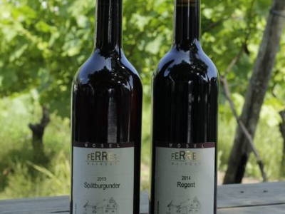 Bild 8 aus  Ferres Weingut