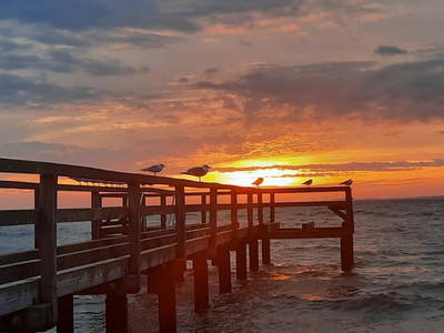 Bild 102 aus  Ostsee Ferienhof Kluvetasch