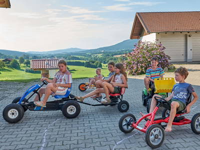 Bild 11 aus  Urlaub am Schoffahanslof im Bayerischen Wald: Natur, Abenteuer & Erholung für die ganze Familie“