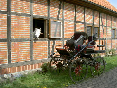Bild 16 aus  Hof Immenknick *** idyllischer Reiterhof