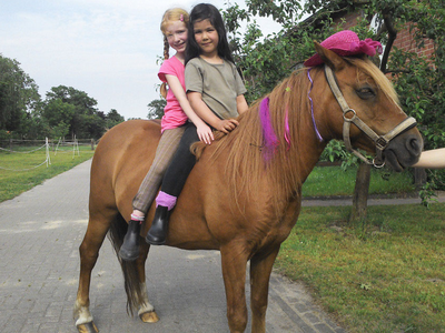 Bild 12 aus  Reitsport Wikner