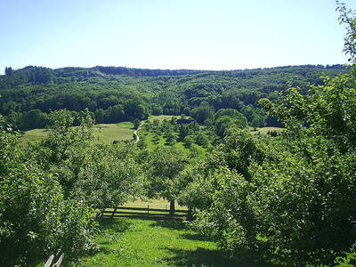 Bild 12 aus  Hermannshöhe