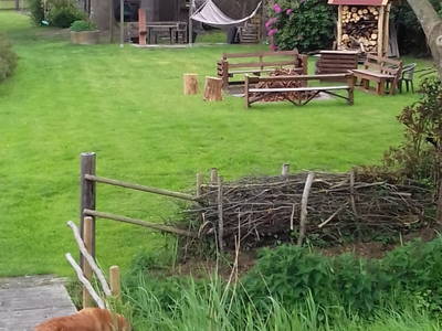 Bild 23 aus  Ferienhof Sengstaken