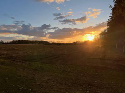 Bild 34 aus  Ferienhof Westermann