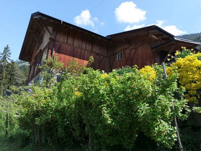 Bild 9 aus  Rieplechnhof