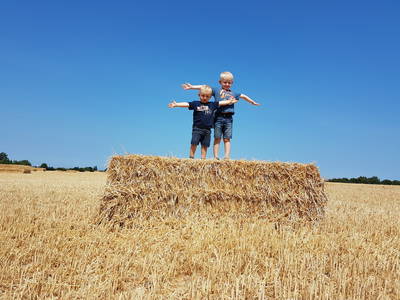 Bild 4 aus  Hof Muhs