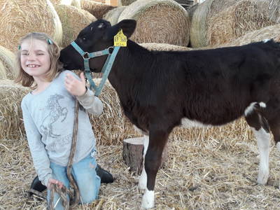 Bild 37 aus  Familienbauernhof Faß