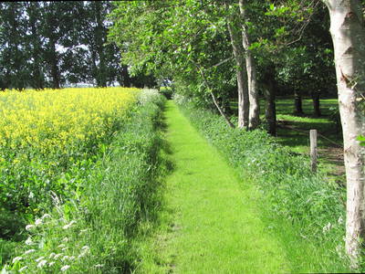 Unser Weg "Achter de Koppel"