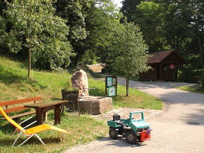 Bild 9 aus  Ferienhof Wußler