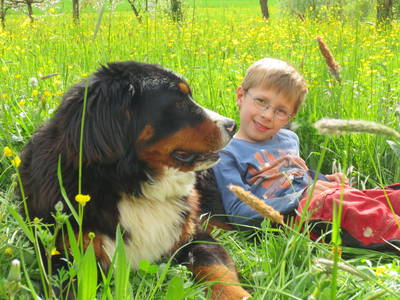 Bild 10 aus  Ferienhof Neudeck