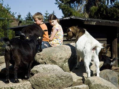 Bild 10 aus  Ferienhof Gerstandt