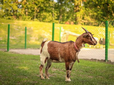 Bild 19 aus  Ferienhof Ostarle