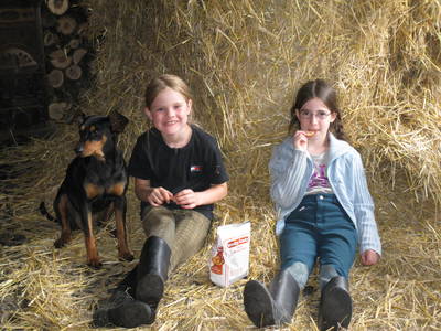 Bild 11 aus  Hof Carmshausen & Pension Hotze