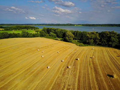 Bild 6 aus  Gestüt Hof am See