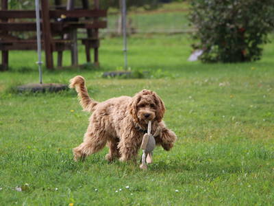 Bild 2 aus  Hof Hainholzblick