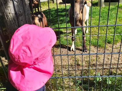 Bild 7 aus  Hof Janssen