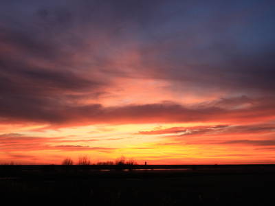 Bild 22 aus  Familie Itzenga "Hof am Turm"