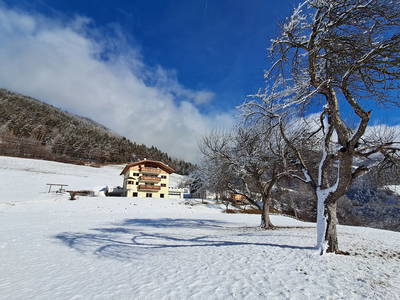 Bild 28 aus  Kreuzplon