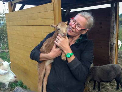 Bild 13 aus  Pferdehof Ruhnau FN