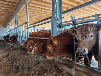 Bild 11 aus  Sunmattehof