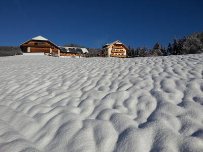 Bild 3 aus  Feichtnerhof