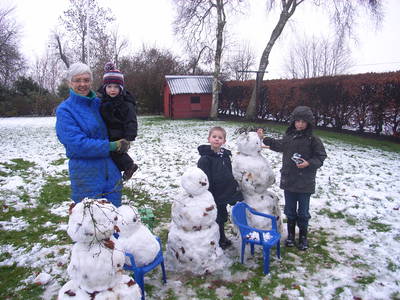 Bild 12 aus  Vejstrupgaard